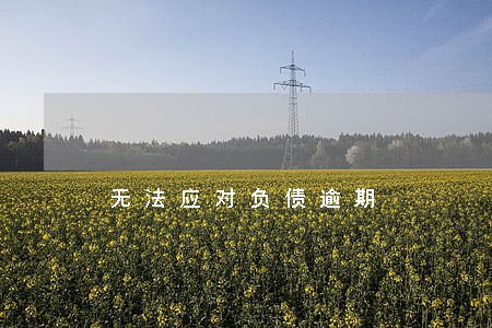 无法应对负债逾期 无法应对负债逾期