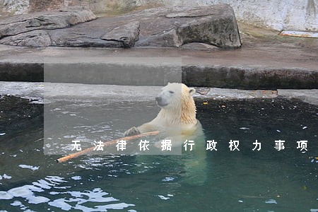 无法律依据行政权力事项应取消 无法律依据行政权力事项应取消