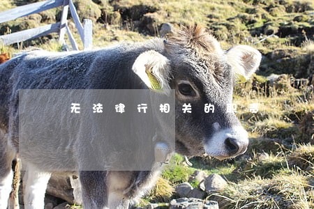 无法律行相关的职责