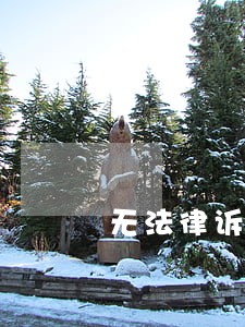 无法律诉讼案件说明
