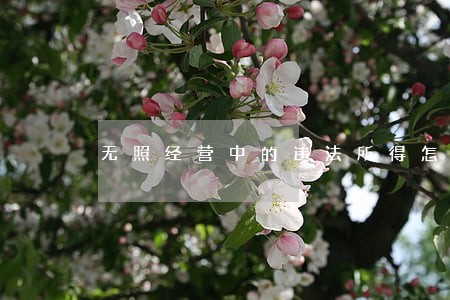无照经营中的违法所得怎么计算 无照经营中的违法所得怎么计算