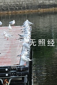 无照经营责令改正通知书逾期 无照经营责令改正通知书逾期