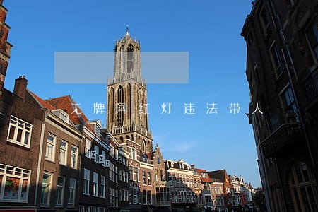 无牌闯红灯违法带人