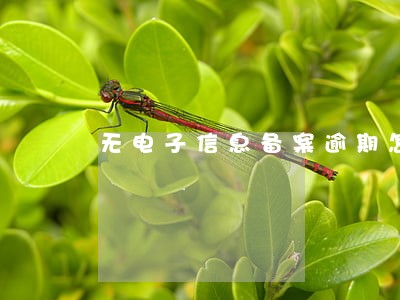 无电子信息备案逾期怎么办 无电子信息备案逾期怎么办