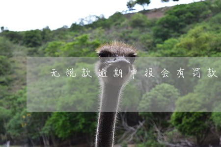 无税款逾期申报会有罚款吗 无税款逾期申报会有罚款吗