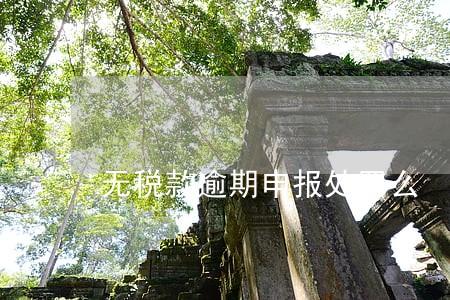 无税款逾期申报处罚么 无税款逾期申报处罚么