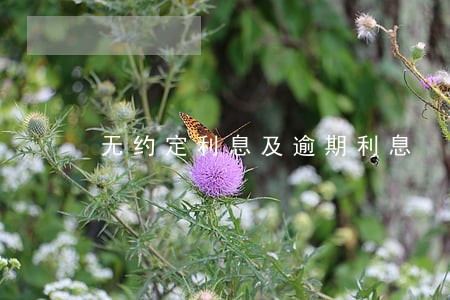 无约定利息及逾期利息 无约定利息及逾期利息