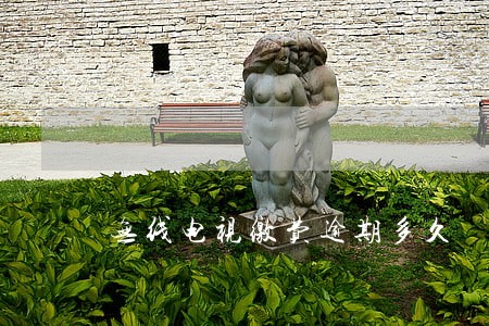 无线电视缴费逾期多久 无线电视缴费逾期多久
