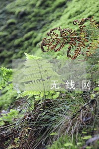 无线网费逾期后果 无线网费逾期后果