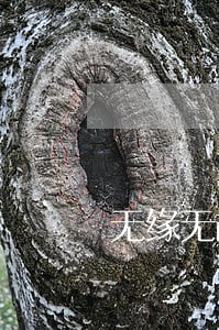 无缘无故信用卡逾期 无缘无故信用卡逾期