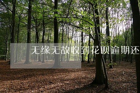 无缘无故收到花呗逾期还款 无缘无故收到花呗逾期还款