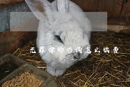 无罪律师咨询怎么收费 无罪律师咨询怎么收费