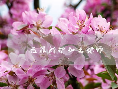无罪辩护知名律师 无罪辩护知名律师