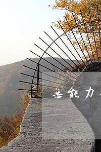 无能力还债可以只还本金吗 无能力还债可以只还本金吗