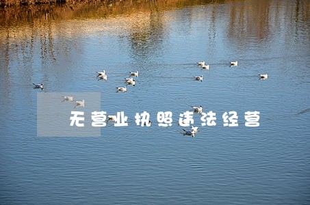 无营业执照违法经营 无营业执照违法经营