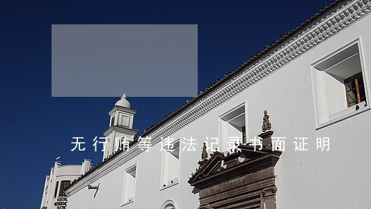 无行贿等违法记录书面证明