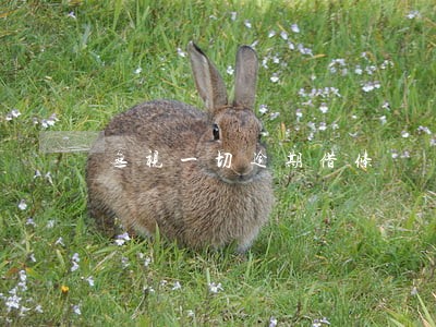 无视一切逾期借条 无视一切逾期借条