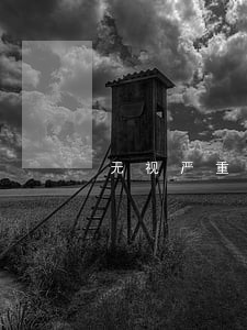无视严重逾期放水的口子 无视严重逾期放水的口子