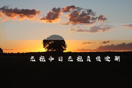 无视今日无视负债逾期 无视今日无视负债逾期