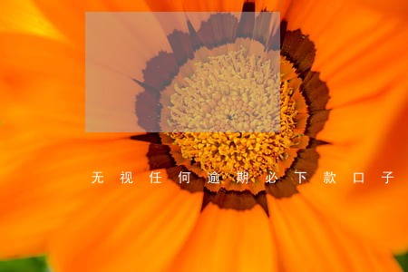 无视任何逾期必下款口子 无视任何逾期必下款口子