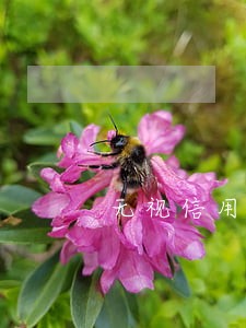 无视信用卡逾期人跑了后果很严重 无视信用卡逾期人跑了后果很严重
