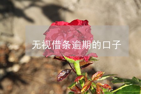 无视借条逾期的口子 无视借条逾期的口子