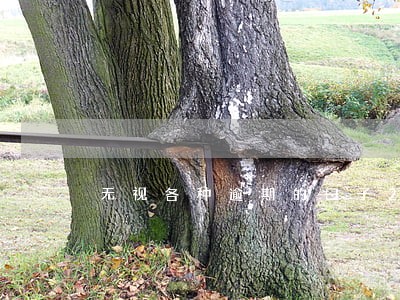 无视各种逾期的口子2019 无视各种逾期的口子2019