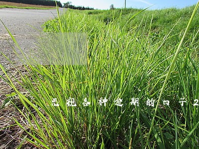 无视各种逾期的口子2019年 无视各种逾期的口子2019年