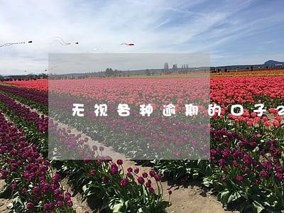 无视各种逾期的口子2021 无视各种逾期的口子2021