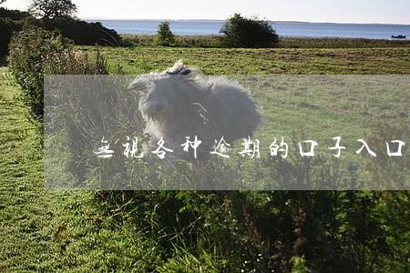 无视各种逾期的口子入口 无视各种逾期的口子入口