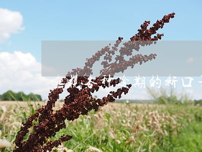 无视各种逾期的新口子 无视各种逾期的新口子