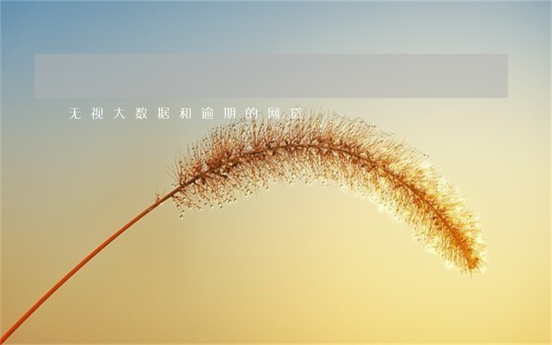 无视大数据和逾期的网贷 无视大数据和逾期的网贷