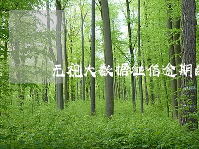 无视大数据征信逾期的口子 无视大数据征信逾期的口子