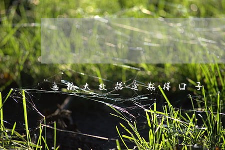 无视大数据逾期得口子 无视大数据逾期得口子