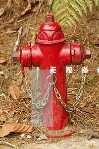 无视当前逾期压车大本的公司 无视当前逾期压车大本的公司
