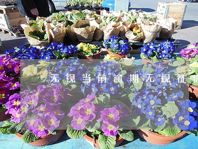 无视当前逾期无视征信的借款 无视当前逾期无视征信的借款
