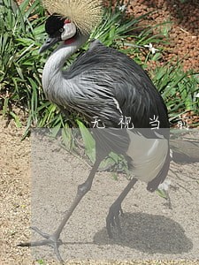 无视当前逾期的贷款有哪些 无视当前逾期的贷款有哪些