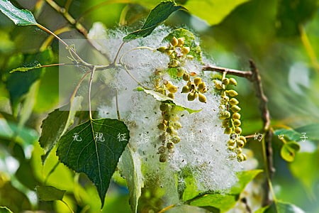 无视征信负债逾期的口子