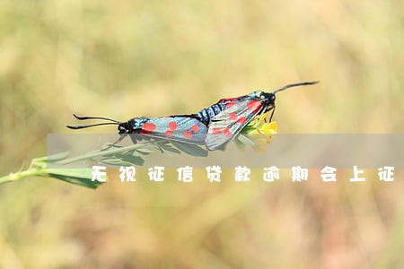无视征信贷款逾期会上征信吗 无视征信贷款逾期会上征信吗