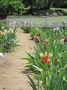 无视征信逾期黑户不审核贷款 无视征信逾期黑户不审核贷款