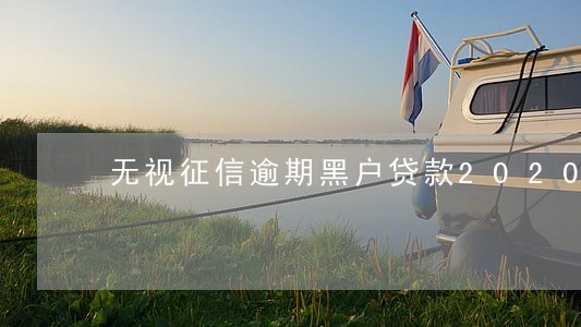 无视征信逾期黑户贷款2020年 无视征信逾期黑户贷款2020年