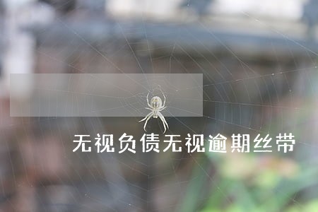 无视负债无视逾期丝带 无视负债无视逾期丝带