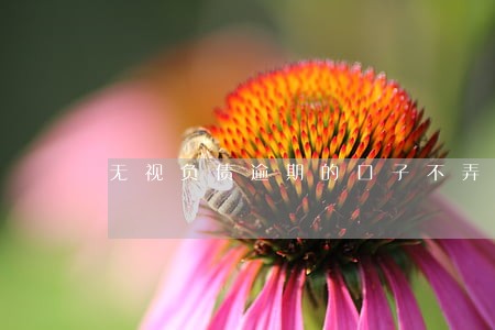 无视负债逾期的口子不弄流水 无视负债逾期的口子不弄流水