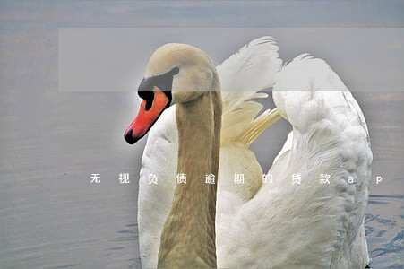 无视负债逾期的贷款app 无视负债逾期的贷款app