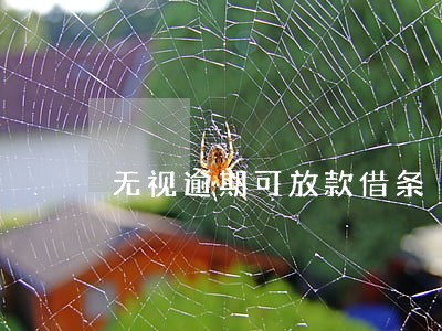 无视逾期可放款借条 无视逾期可放款借条