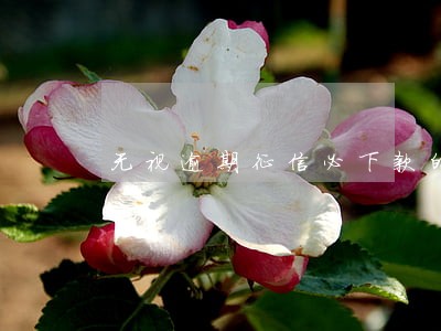 无视逾期征信必下款的口子 无视逾期征信必下款的口子