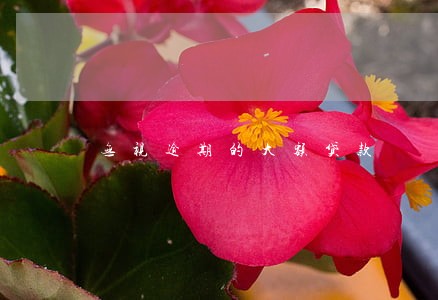 无视逾期的大额贷款 无视逾期的大额贷款