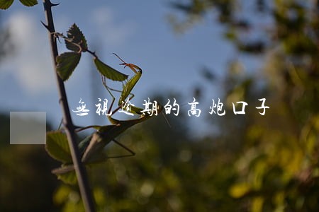 无视逾期的高炮口子 无视逾期的高炮口子