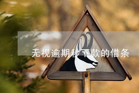 无视逾期秒下款的借条 无视逾期秒下款的借条