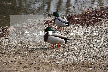 无视逾期秒下款的贷款 无视逾期秒下款的贷款
